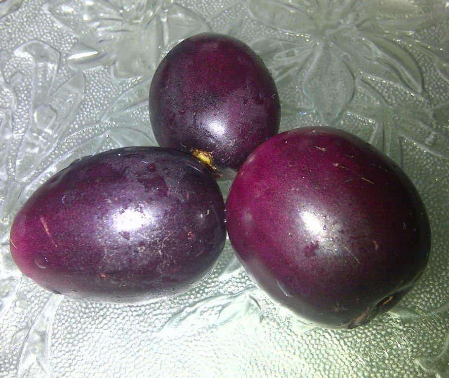 Сизигиум Джамболанум