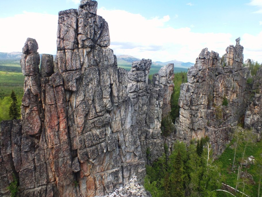 Калофизус пятнистый