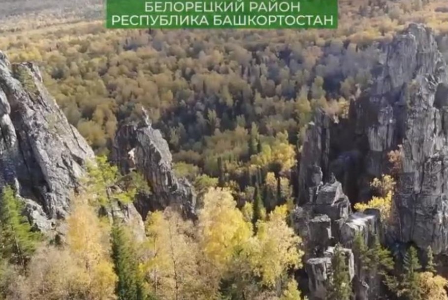 Зубчатки башкирия