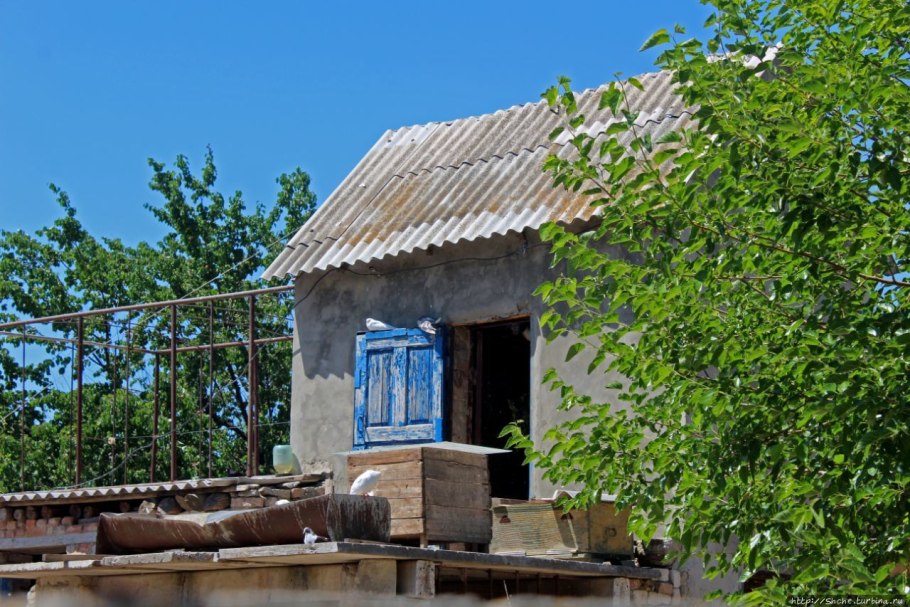 Село Яновка Херсонская область