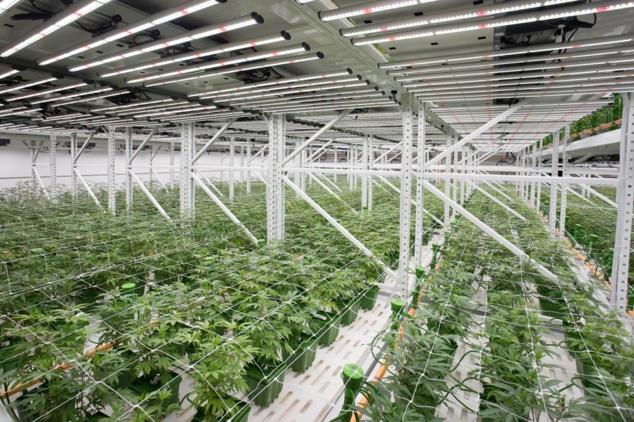 Освещение для теплиц виды