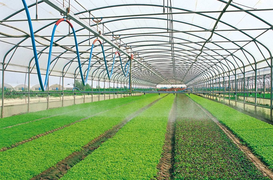 Кўчатчилик иссиқхона