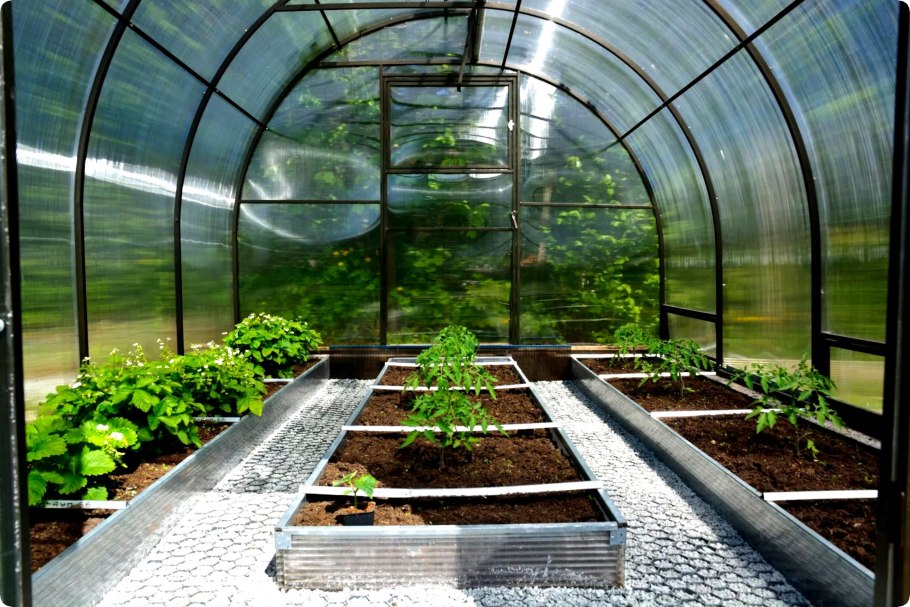 Грядки в поликарбонатной теплице