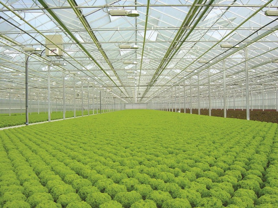 Modern Greenhouse гидропоника