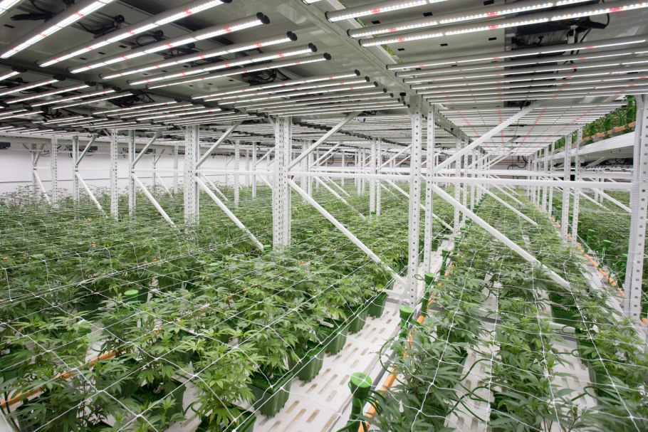 Досвечивание теплиц