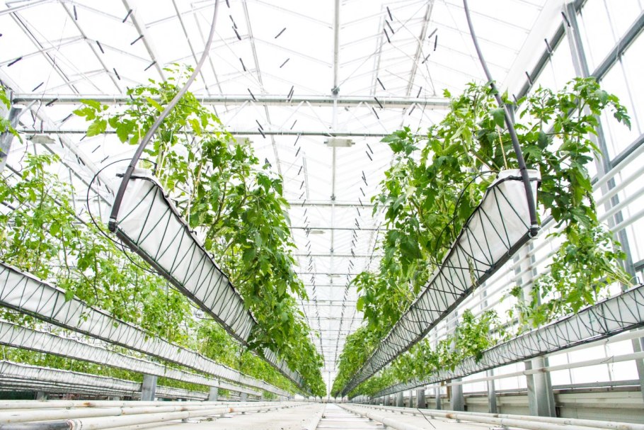 Тепличное хозяйство «ГРИНХАУС».