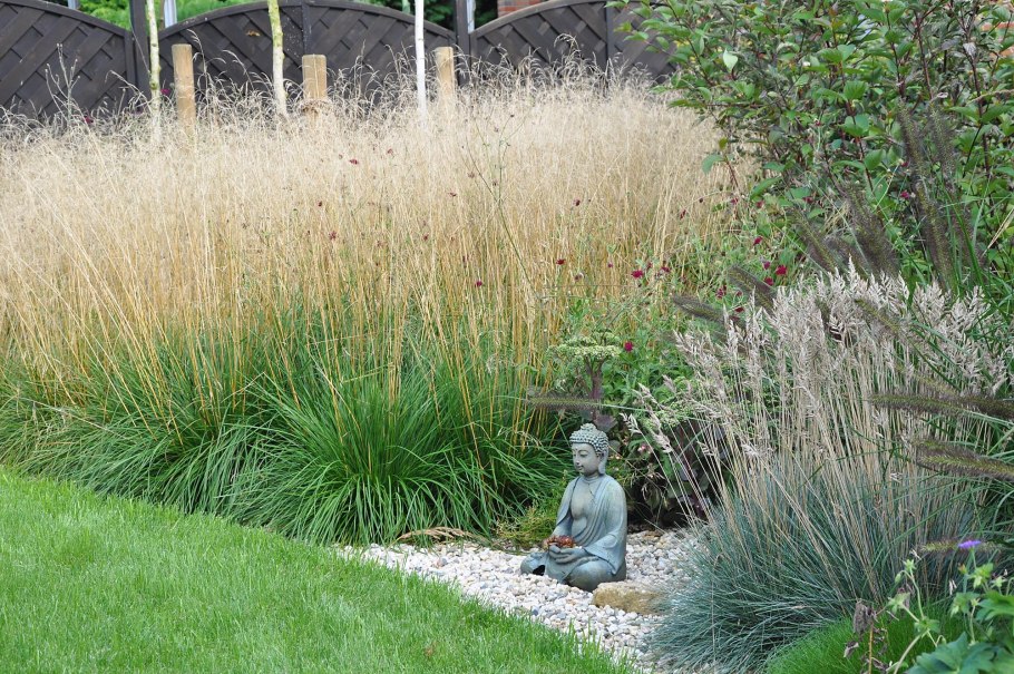 Спартина в ландшафтном дизайне