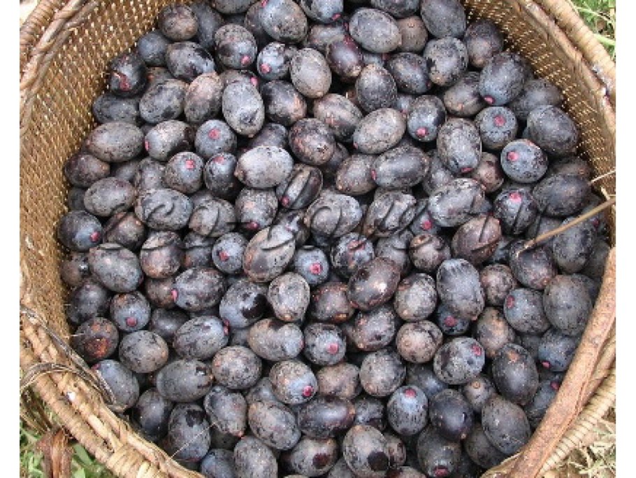 Жёлтый фон однотонный