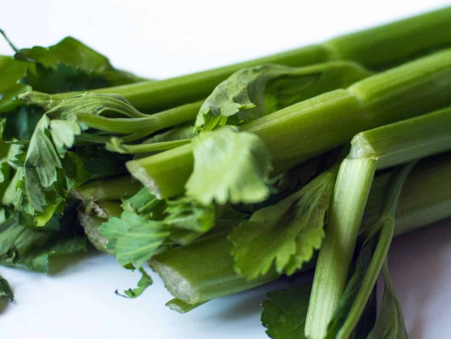 Сельдерей похож на кости