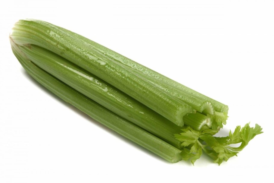 Сельдерей фиолетовый