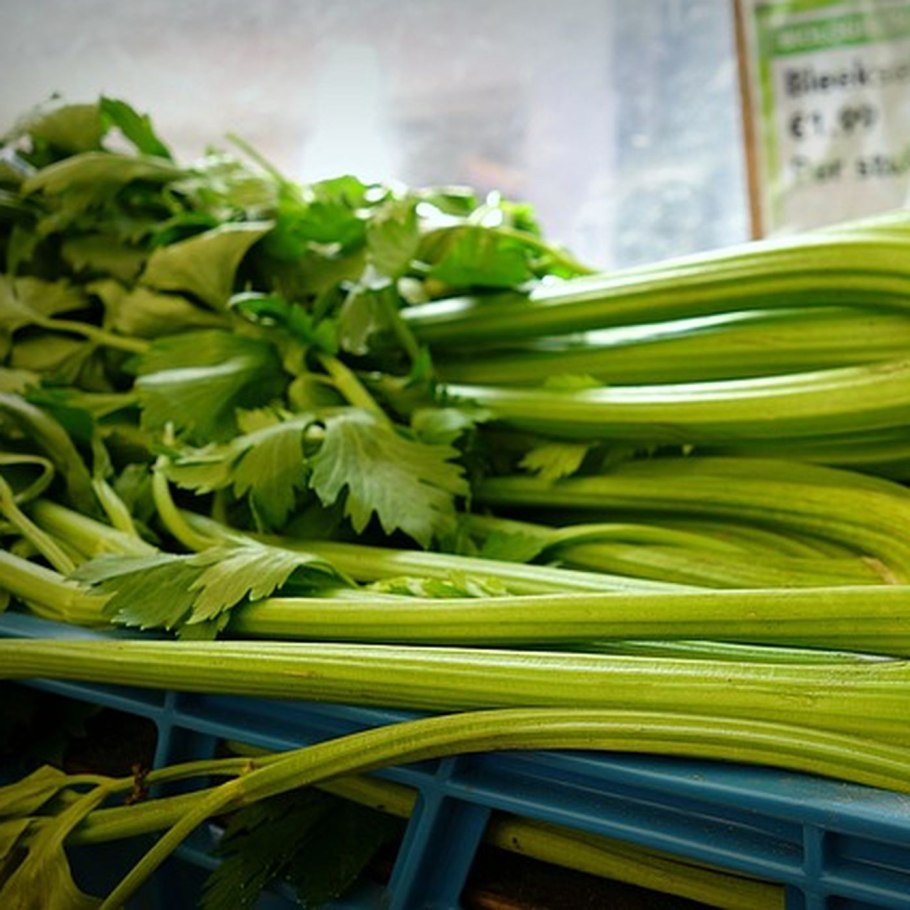 Сельдерей стимул