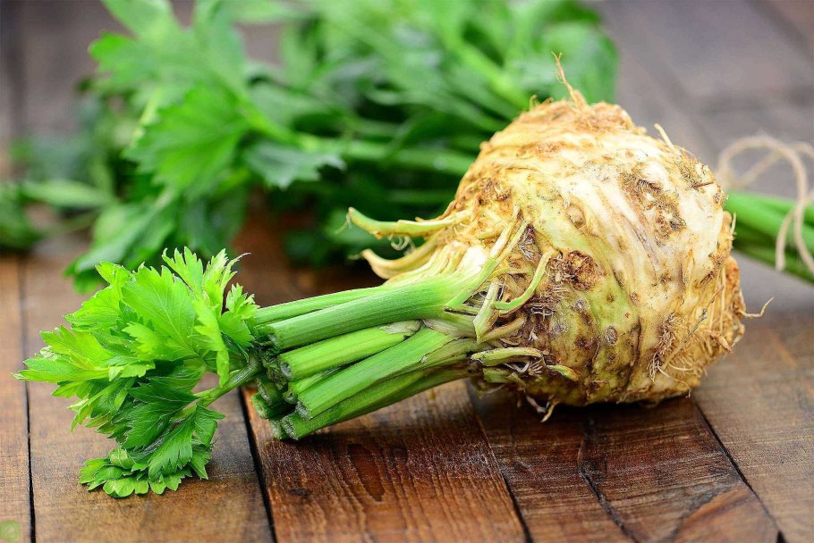 Сельдерей систематика