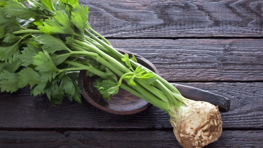 Сельдерей apium graveolens