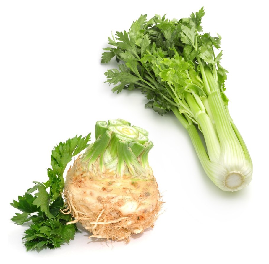 Сельдерей корневой грибовский