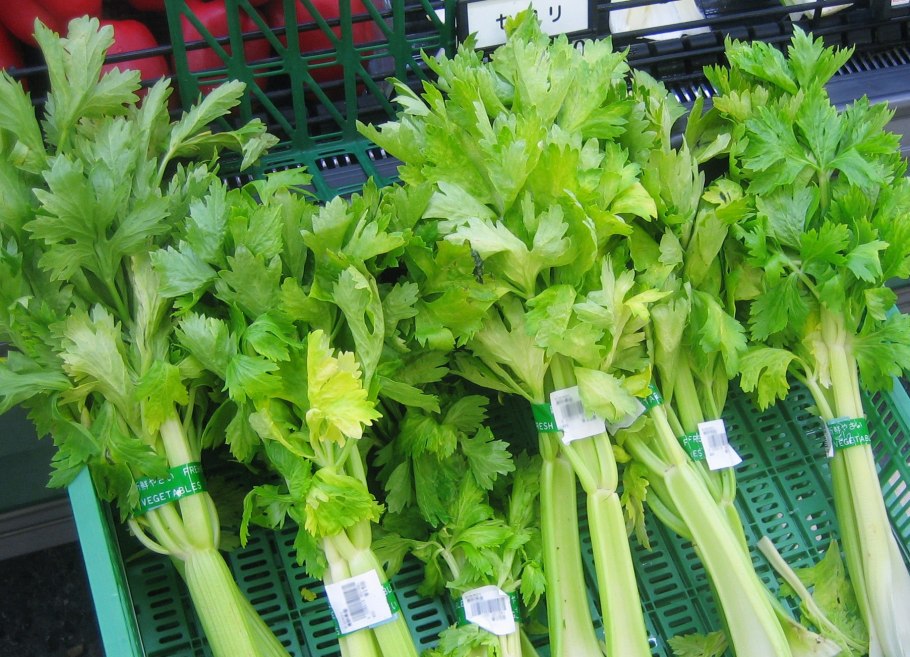 Корень сельдерея