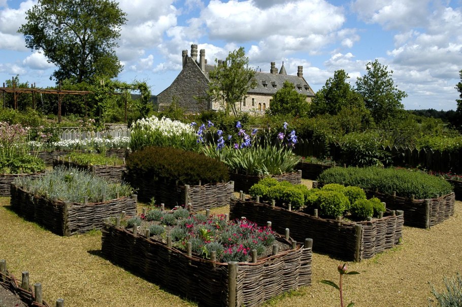 Лаванда Колосовая