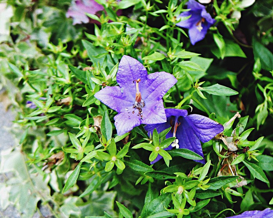 Правильное питание и спорт