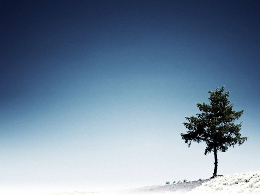 Зимние пейзаж