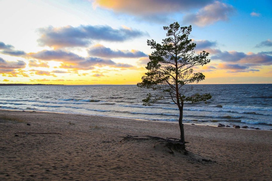 Белое море северодвинск ягры