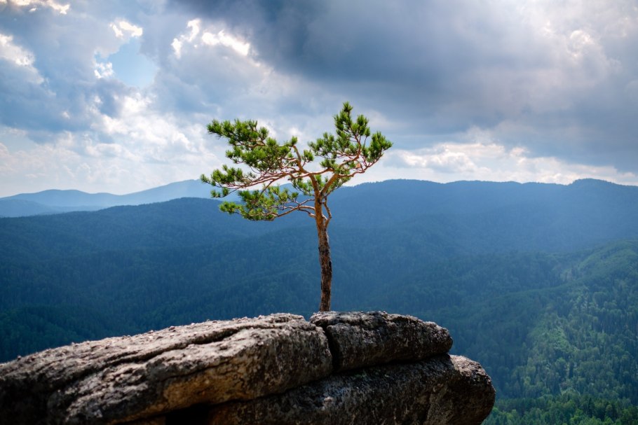 Гора круглая Белокуриха