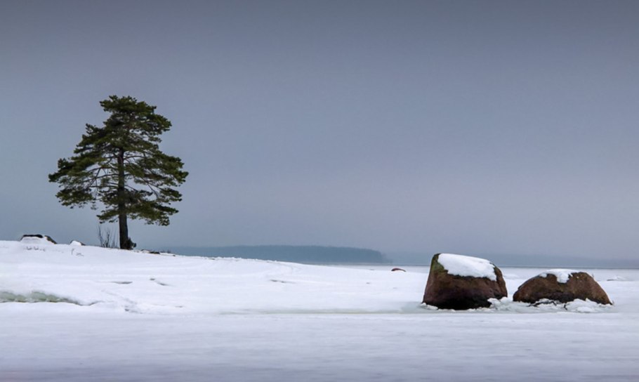 Финский залив зима