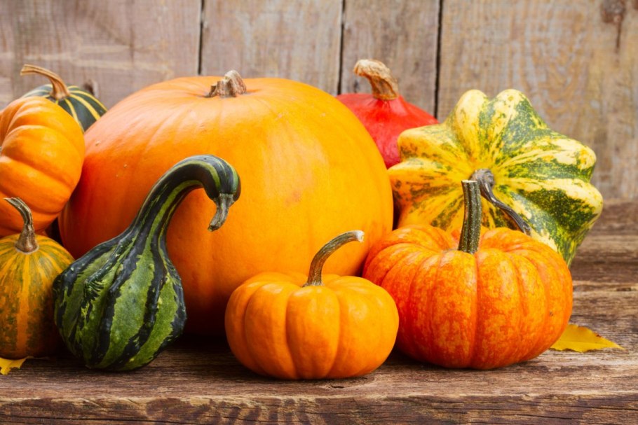 Тыква Альтаир