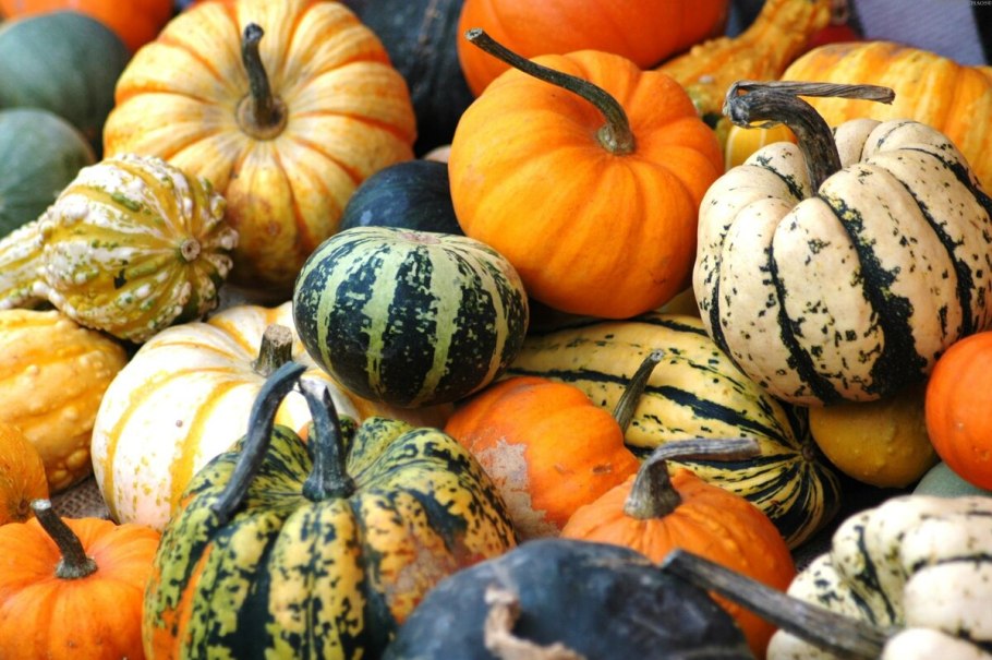 Тыква Squash Lunar