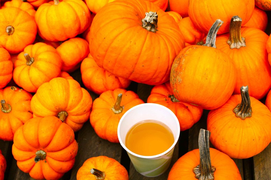 Семена тыквы Фармакогнозия