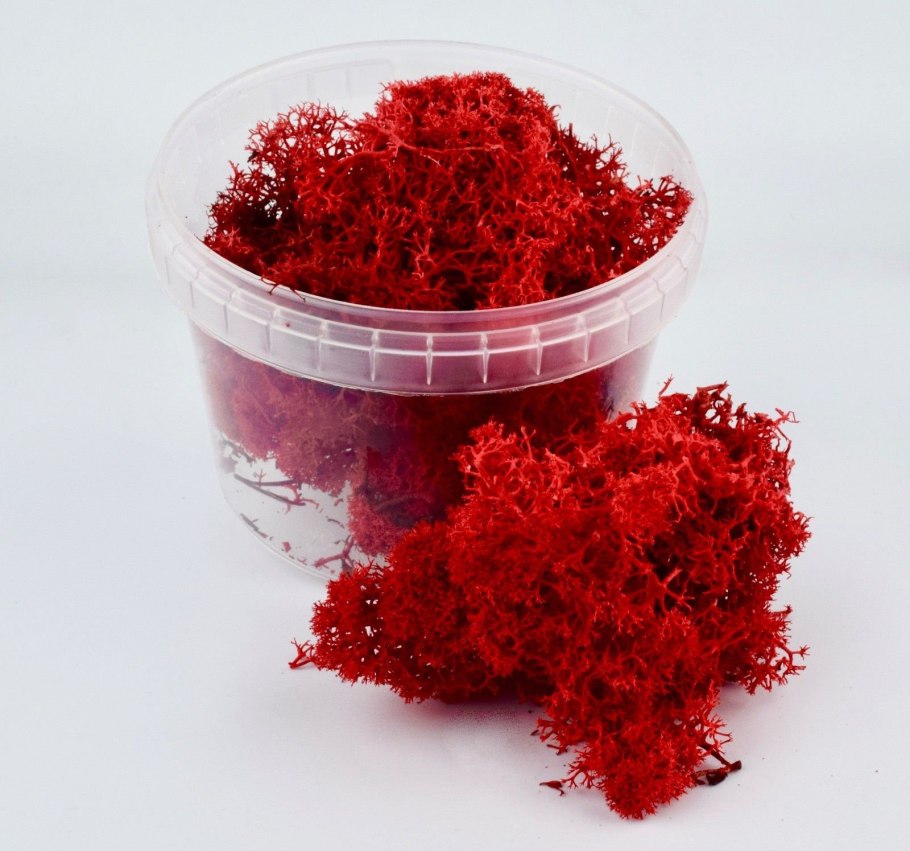 Керид красный мох