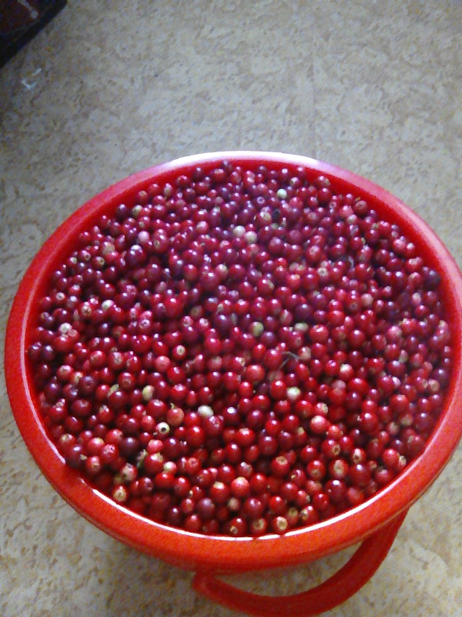 Брусника внутри