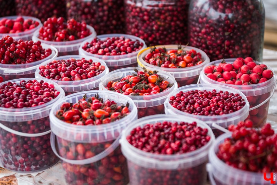 Калина брусника клюква