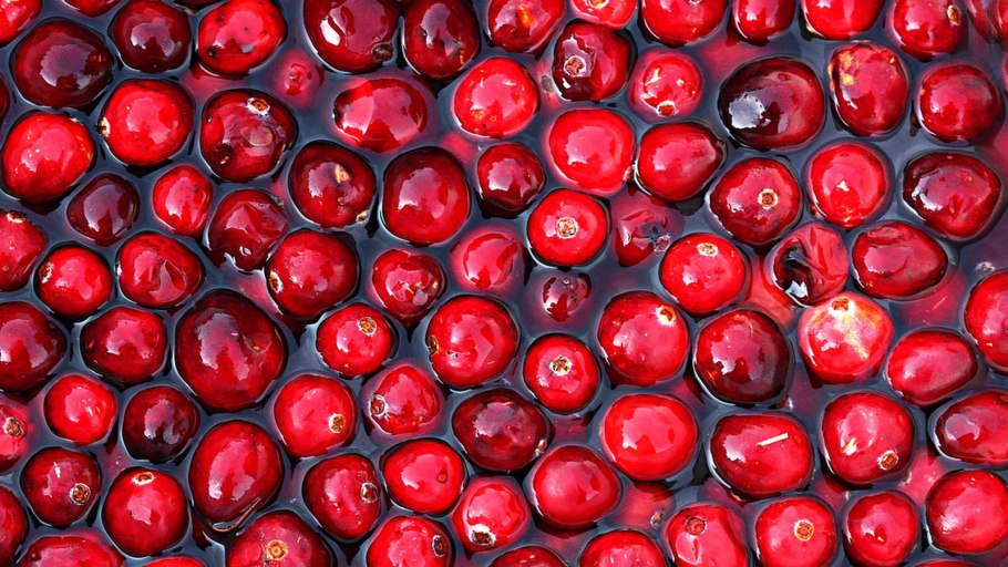 Калина брусника и клюква