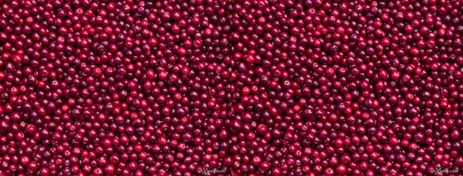 Брусника фон