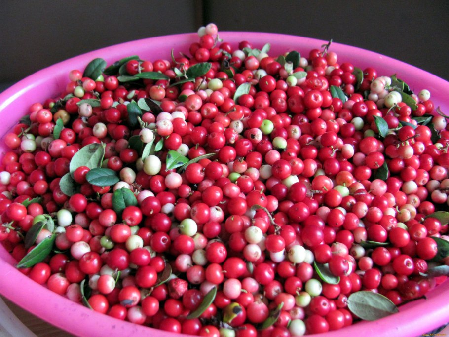 Голубика брусника клюква