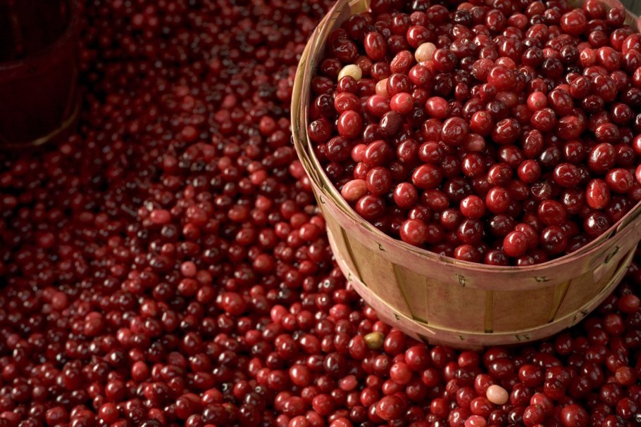 Клюква брусника Морошка