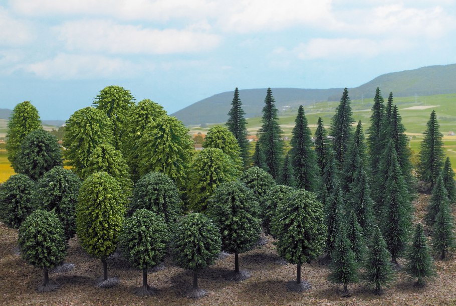 Кедр Гималайский шишки