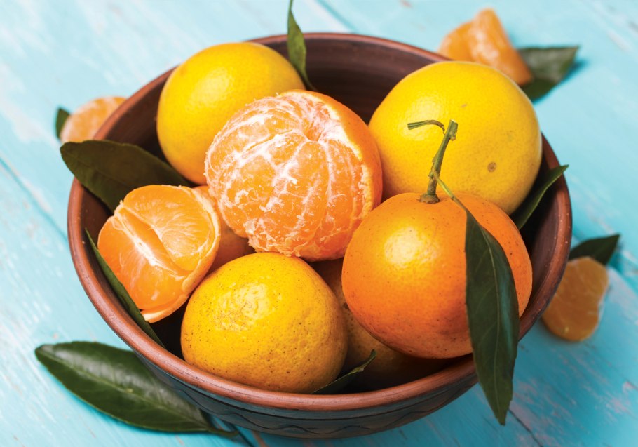 Цитрус (Citrus) растение