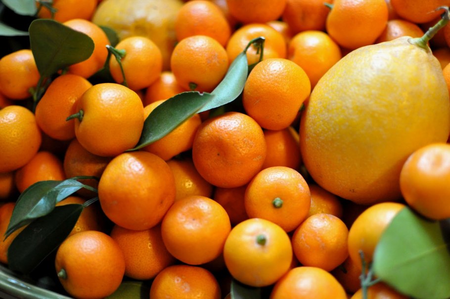 Померанец бигарадия