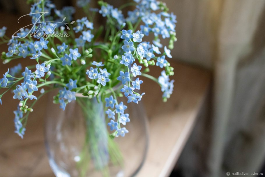 Букет незабудки