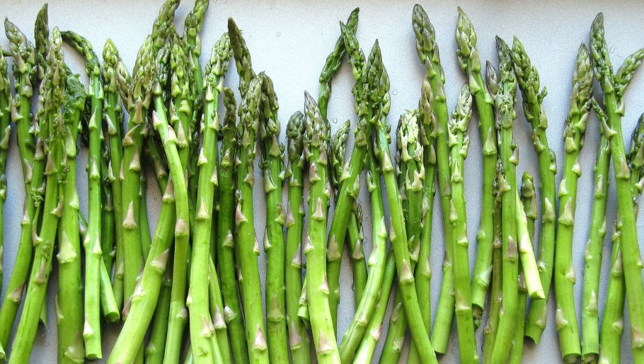 Спаржа растение