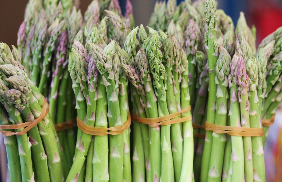 Растение спаржа