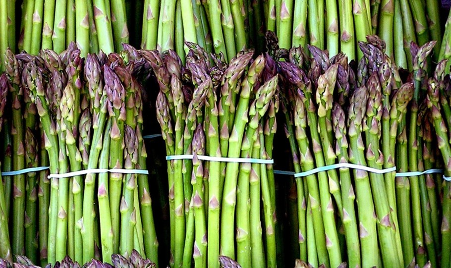 Спаржа (asparagus)