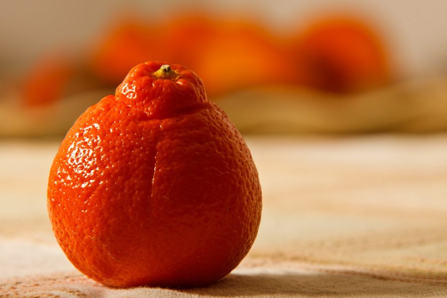 Танжело минеола мандарин