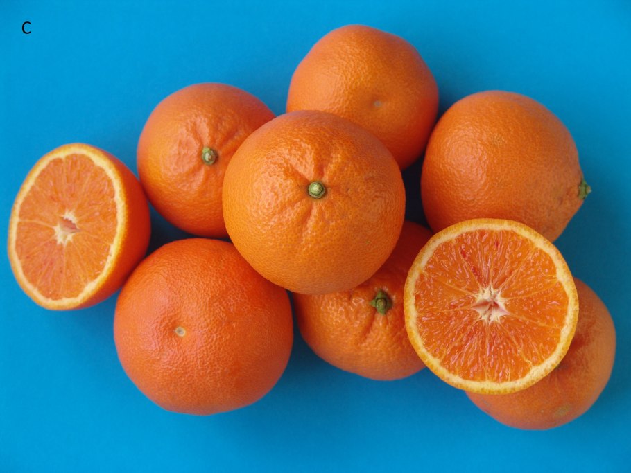 Минеола фрукт цитрус