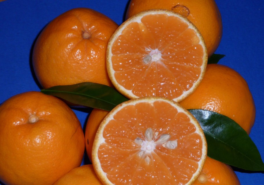 Апельсин мандарин