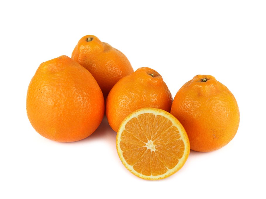 Сорт мандарин минеола