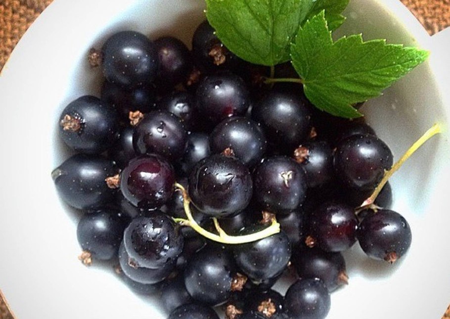 Репис Дикая смородина