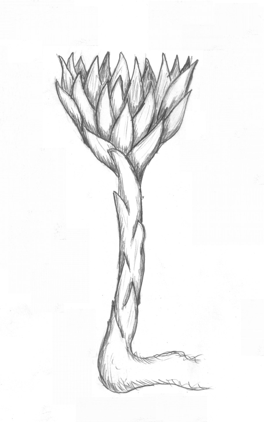 Flowerscape Мэгги Энтерриос