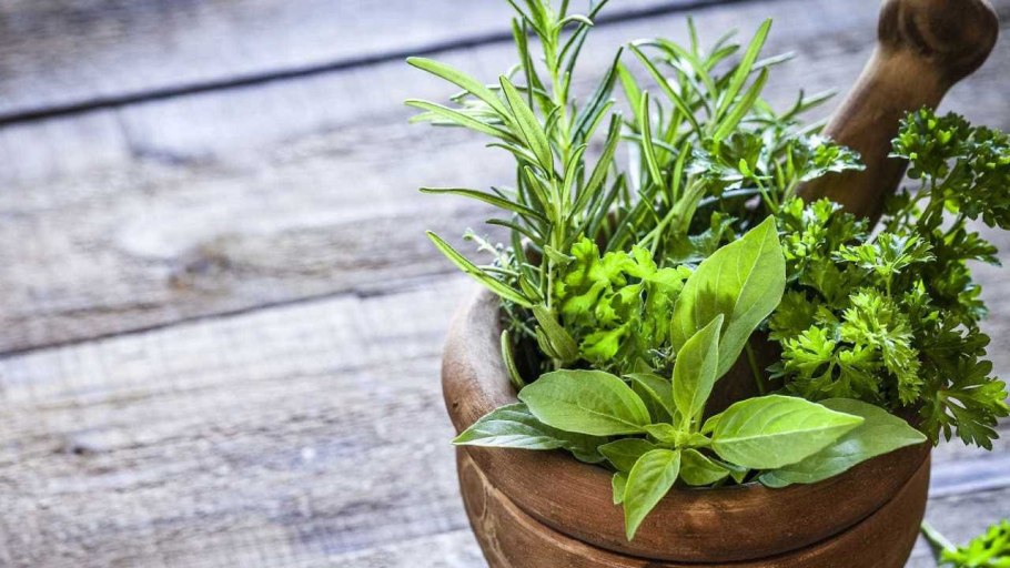 Настой лекарственных трав