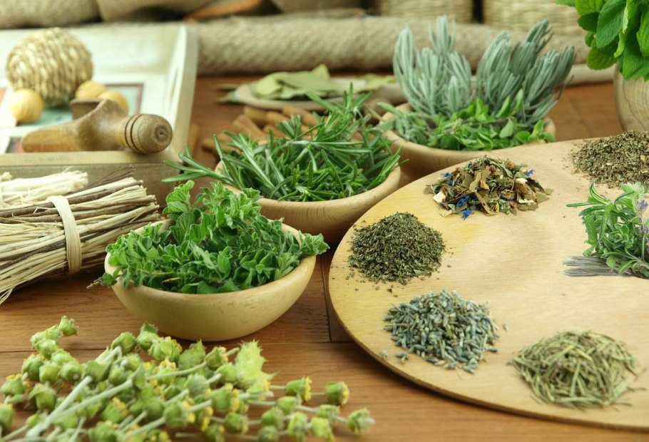 Целебные травы на белом фоне